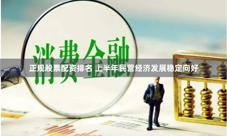 正规股票配资排名 上半年民营经济发展稳定向好
