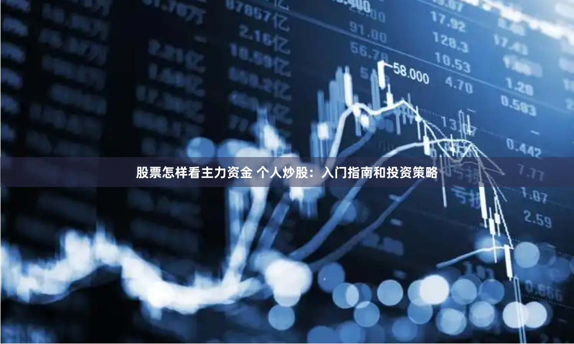 股票怎样看主力资金 个人炒股：入门指南和投资策略