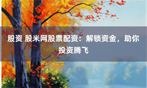股资 股米网股票配资：解锁资金，助你投资腾飞