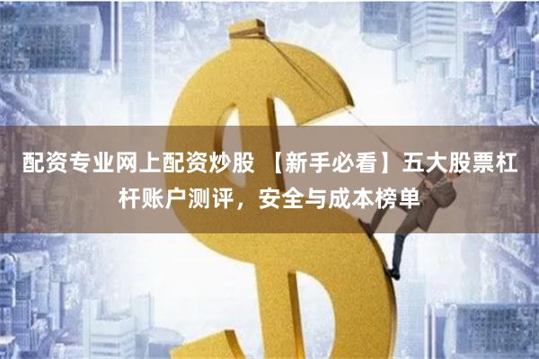 配资专业网上配资炒股 【新手必看】五大股票杠杆账户测评,安全与成本榜单